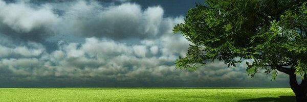 Mendea_MedAmb Profile Banner