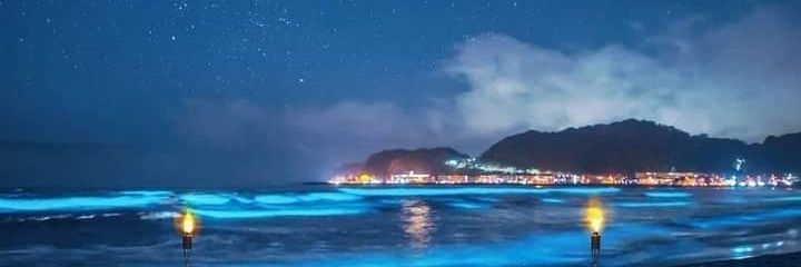 Con_Sentimiento's profile banner image