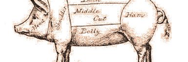 Timothy Cottini banner