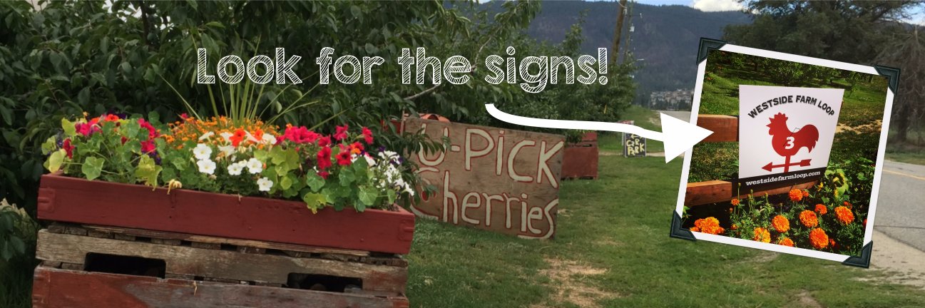 TheFarmLoop's profile banner image