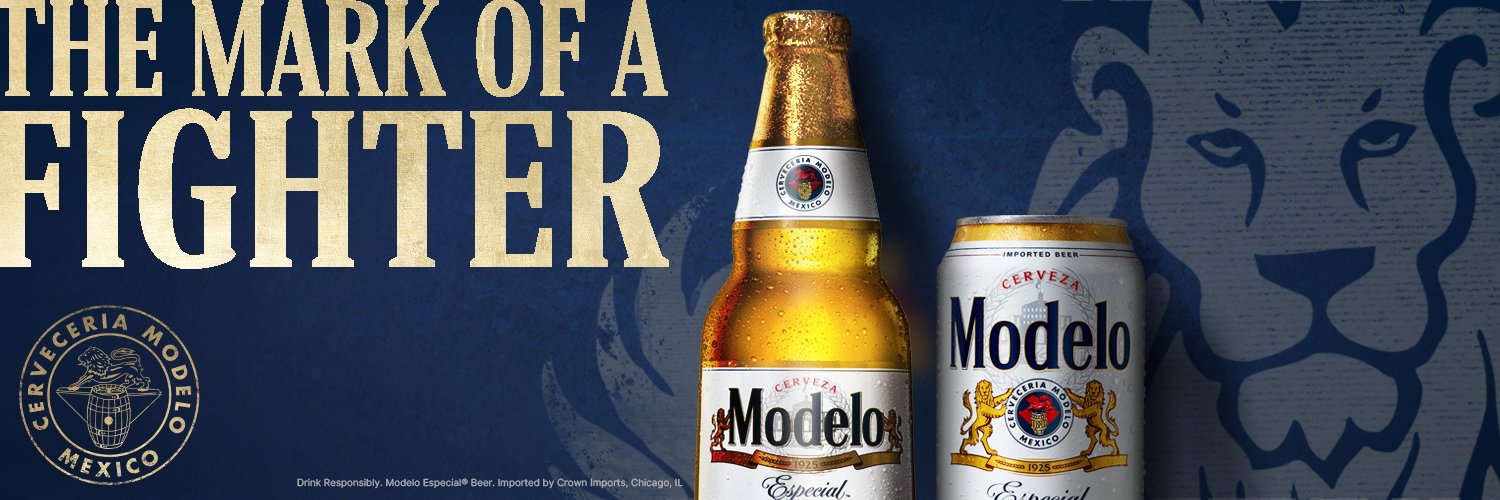 Modelo USA banner