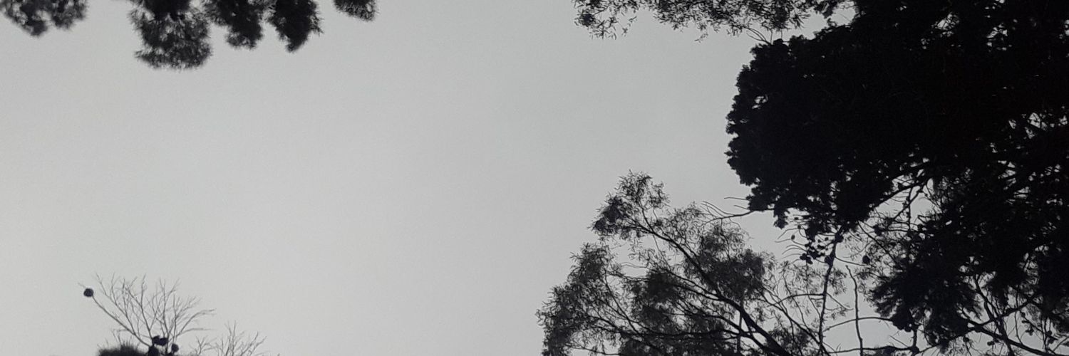 Natashaaa96's profile banner image