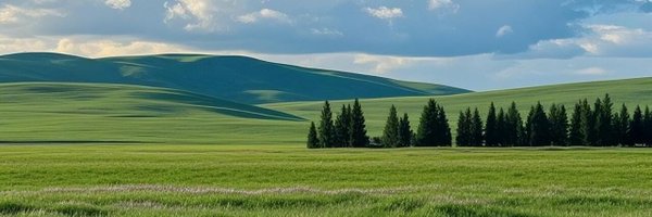 91957 Profile Banner