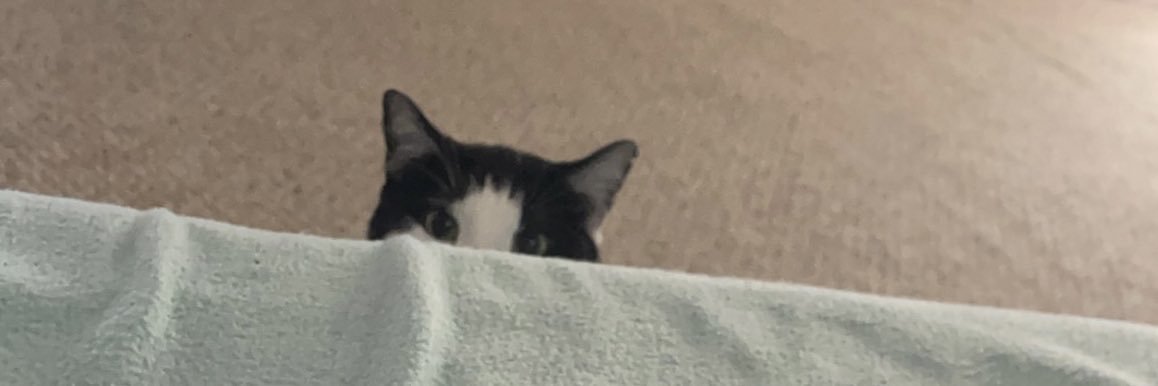 Ray Wackowski banner