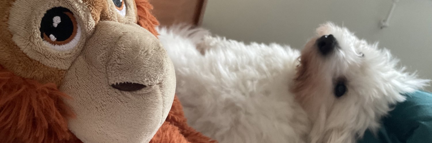 Dr Lori Beth Bisbey banner