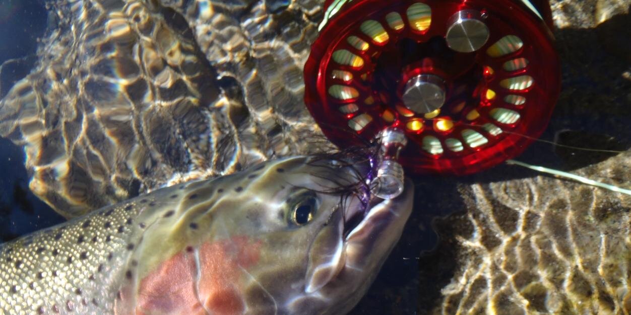 HighwaterTackle's profile banner image