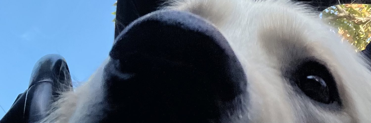 mckennareedy's profile banner image