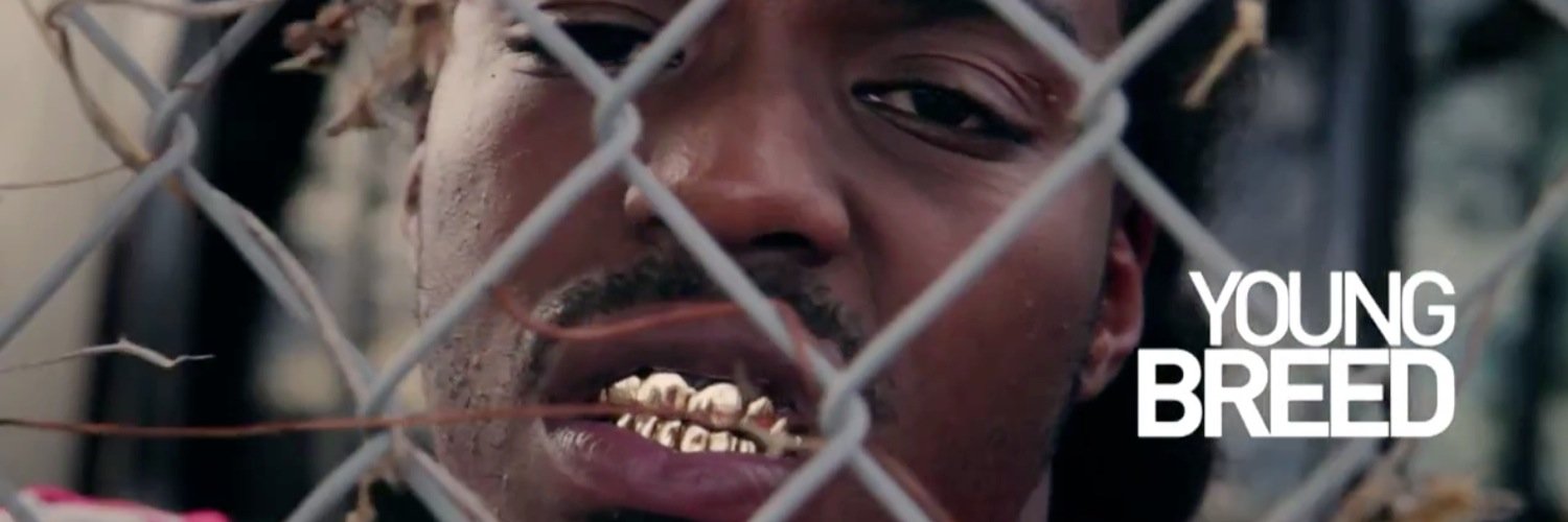 TeamBreed305's profile banner image