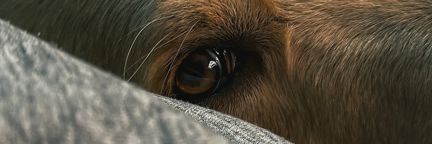 Lucasosa08's profile banner image