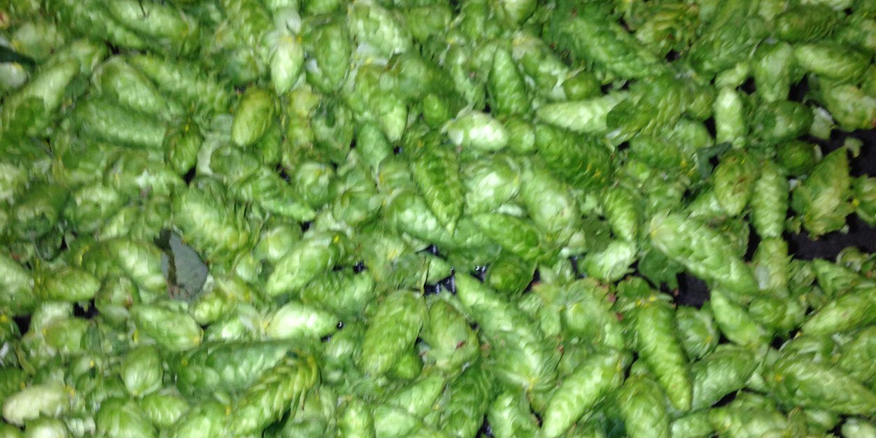 Beer4Todd's profile banner image