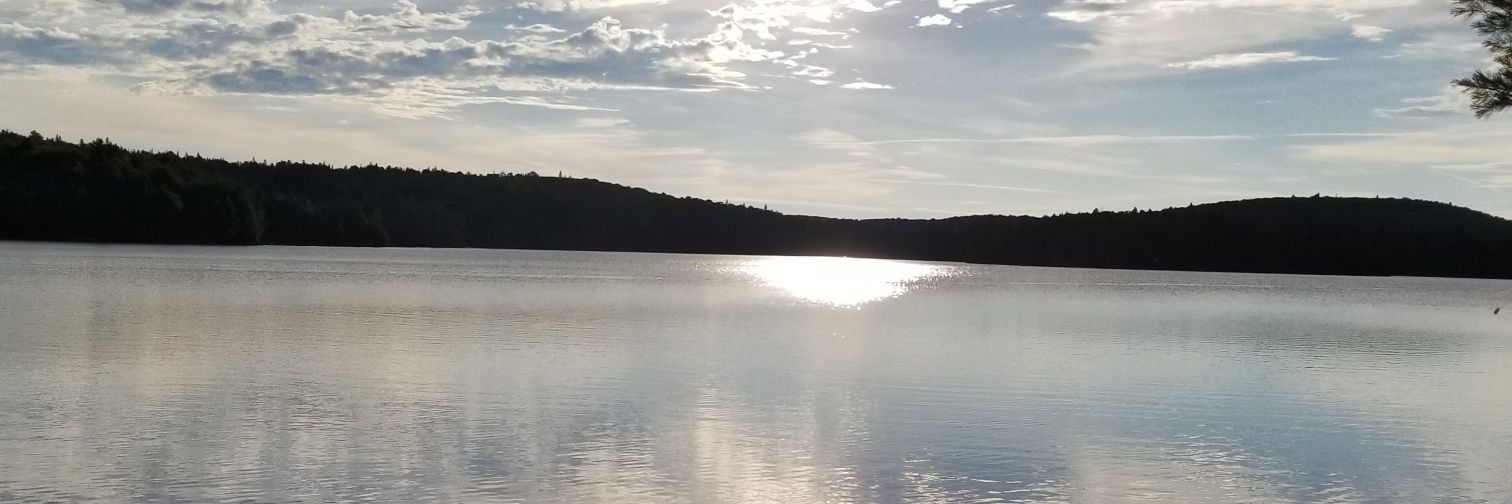 Scottjeffreld's profile banner image