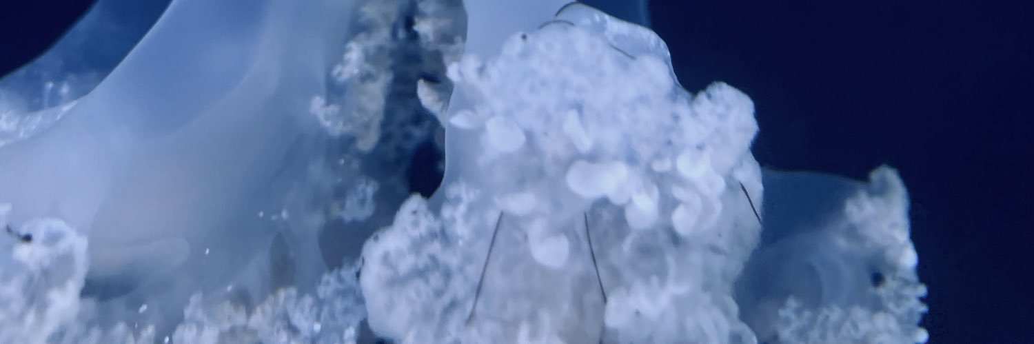 OdinZBeard's profile banner image