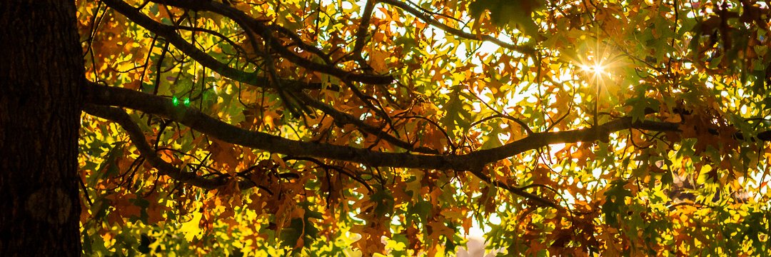 RCGeorge's profile banner image