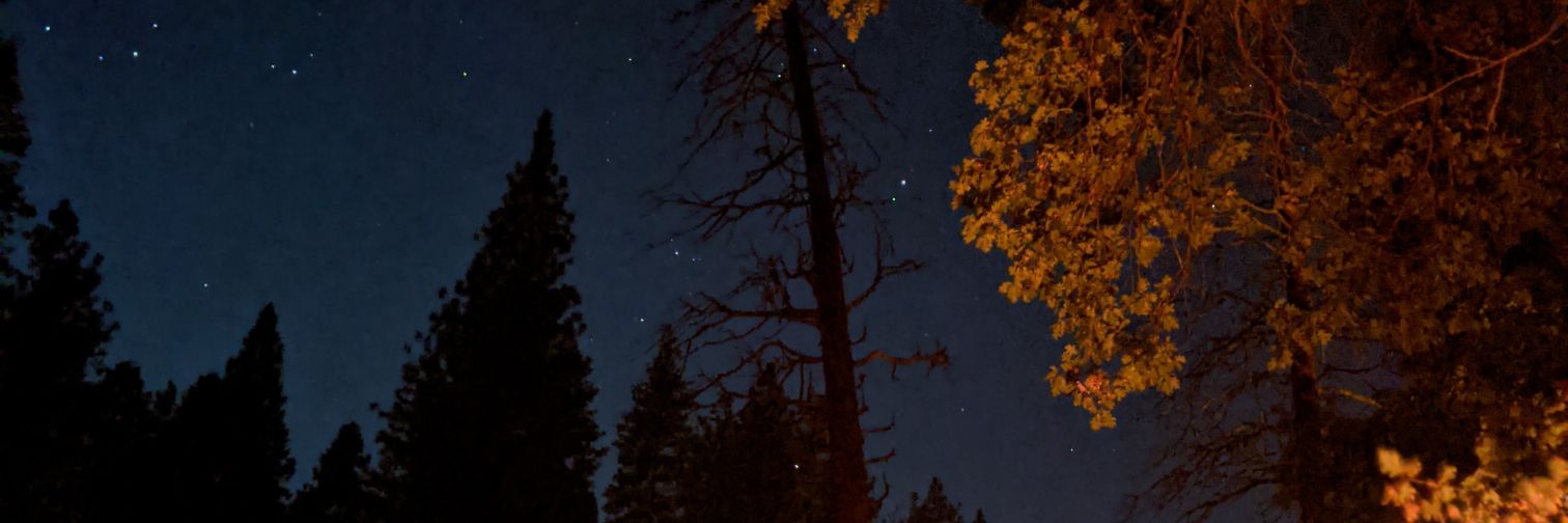 whoisdan_'s profile banner image