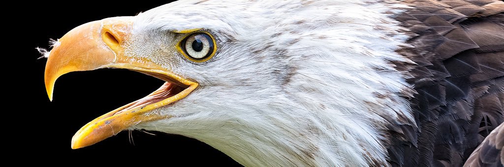 creativeartview's profile banner image