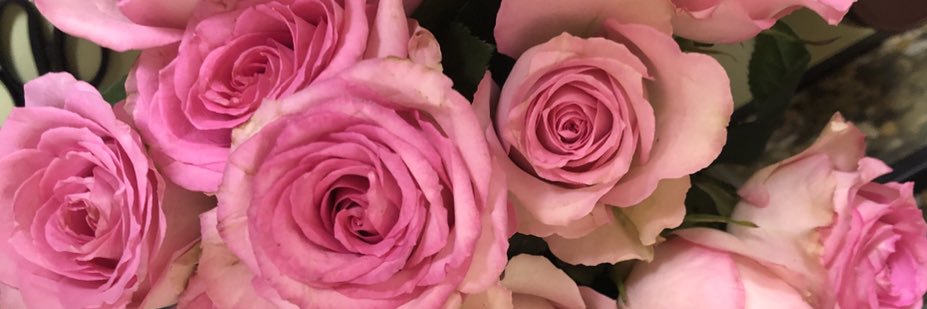 nikki___davis's profile banner image