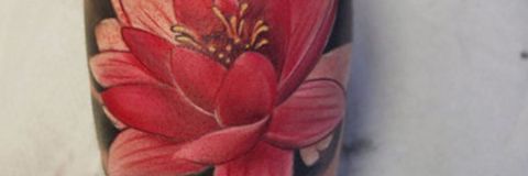 iam__Marisol's profile banner image