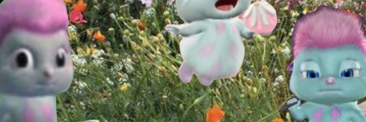 notnikig's profile banner image