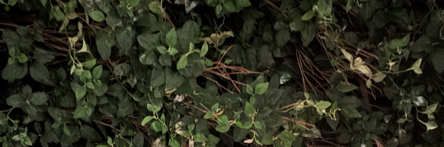 lamuseraps's profile banner image