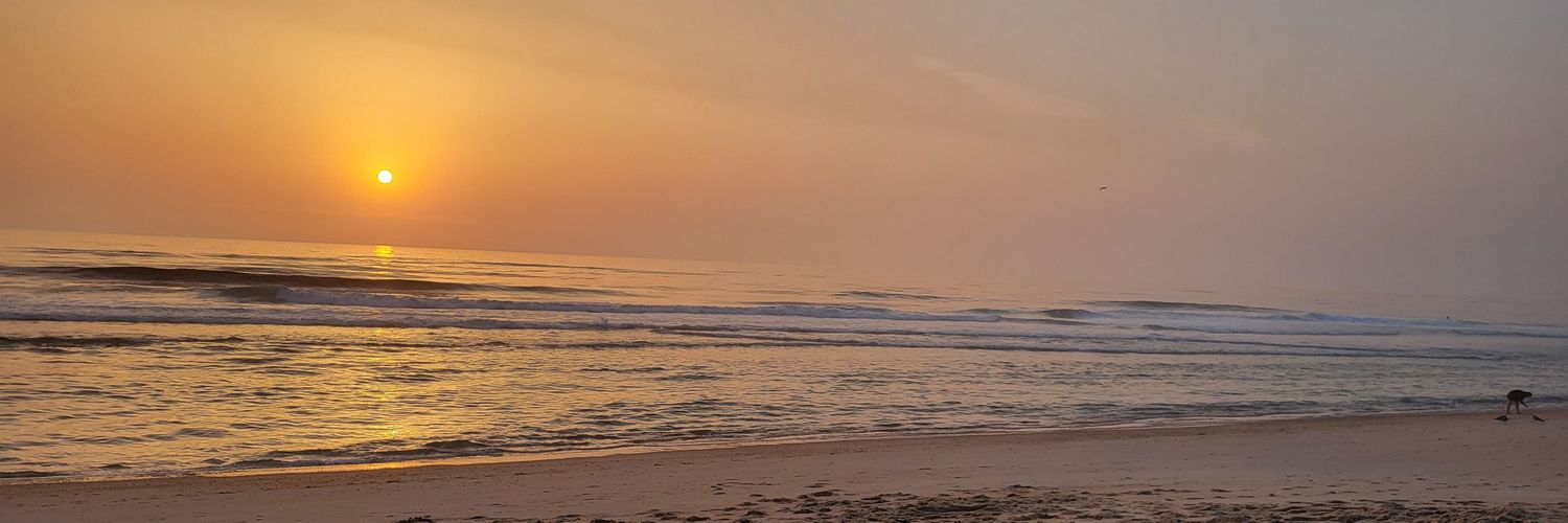 Purple_Moon7's profile banner image