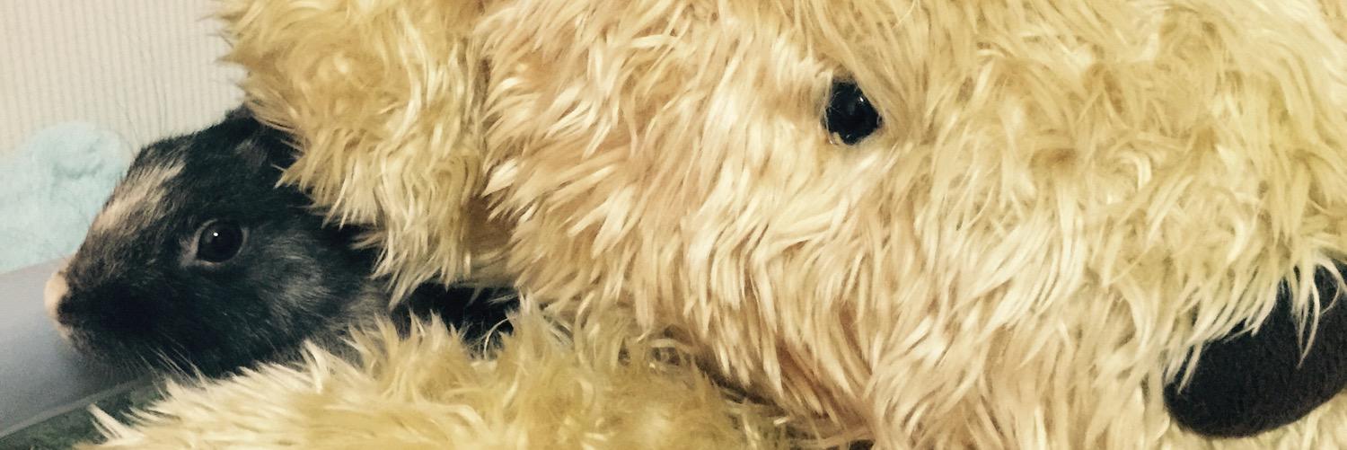 nachu_tw's profile banner image