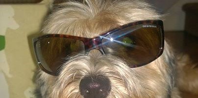 Sharon Rampaul banner