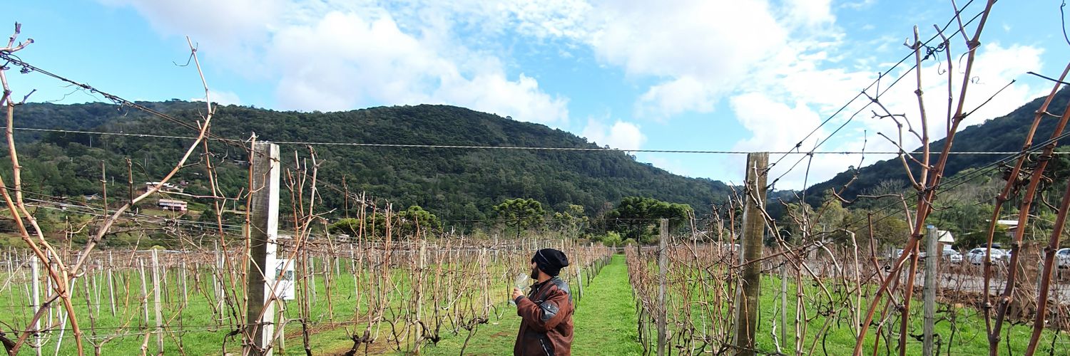 Decoh Barbosa banner