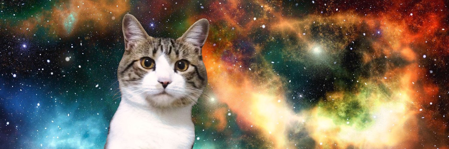 p48541wm's profile banner image