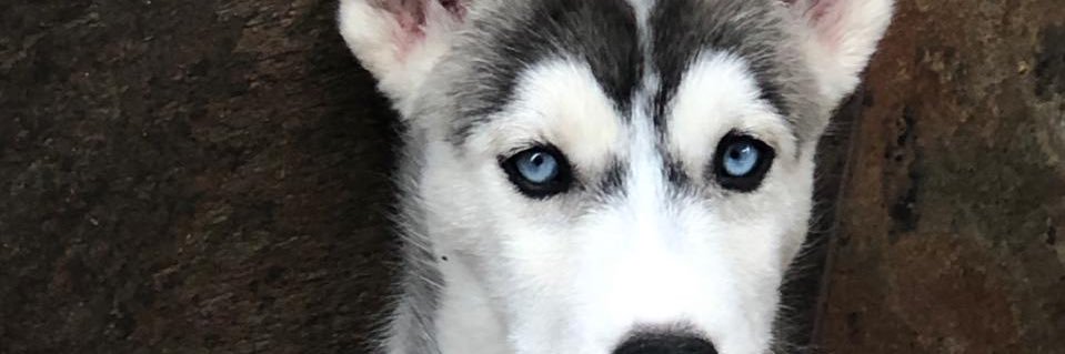 jandrilopez's profile banner image