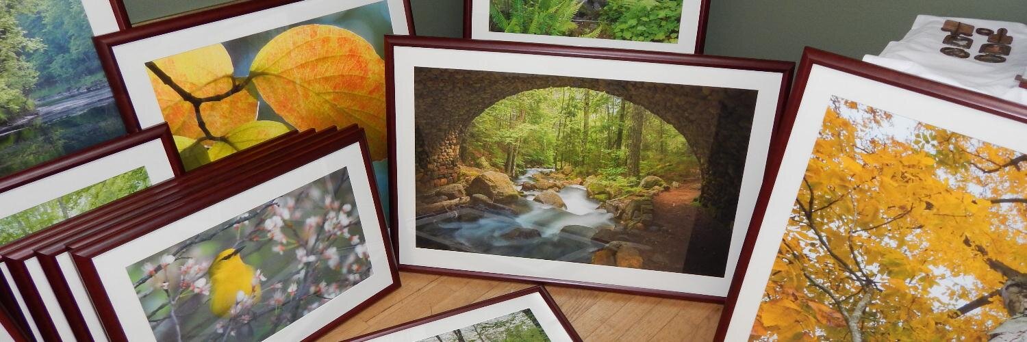 FrameGalleryWI's profile banner image