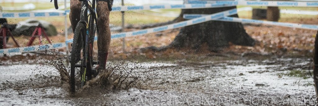 Allan Schroeder banner