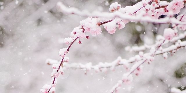 alannhaaa's profile banner image
