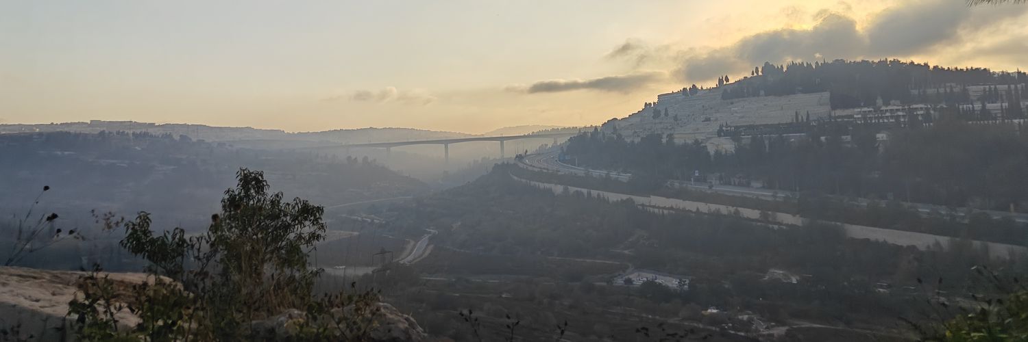 arnonlevy's profile banner image