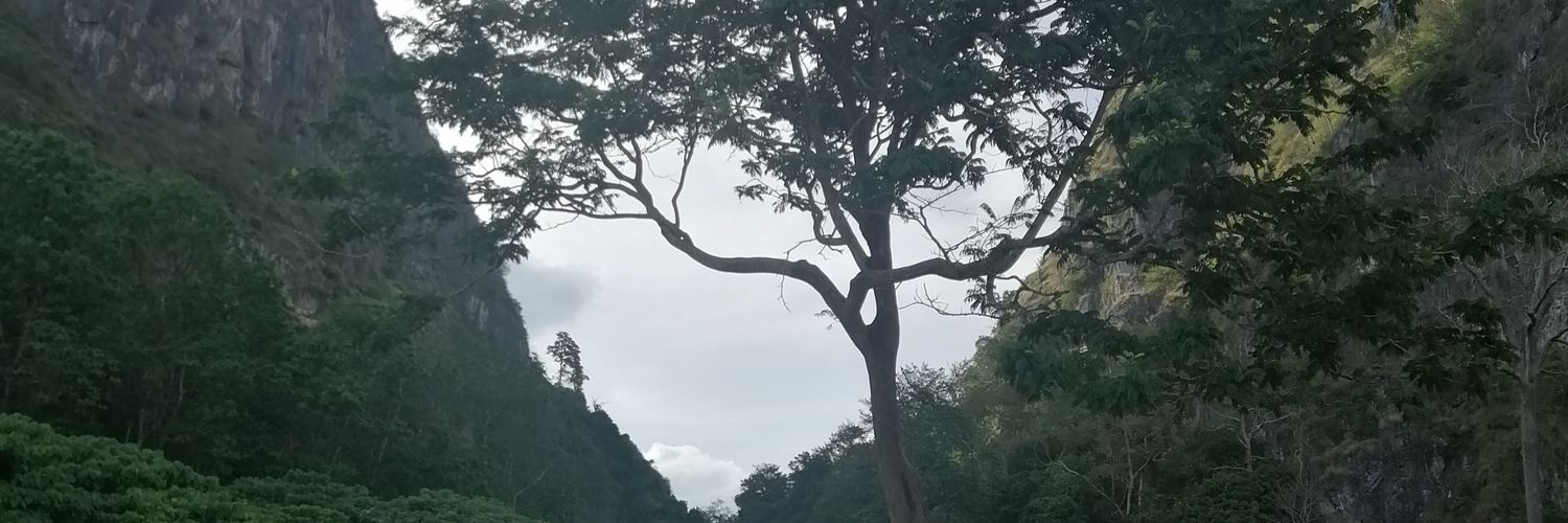NuRuiLi's profile banner image