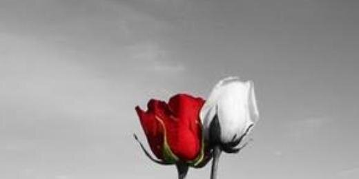 ab_78692's profile banner image