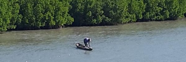 dialimpa Profile Banner