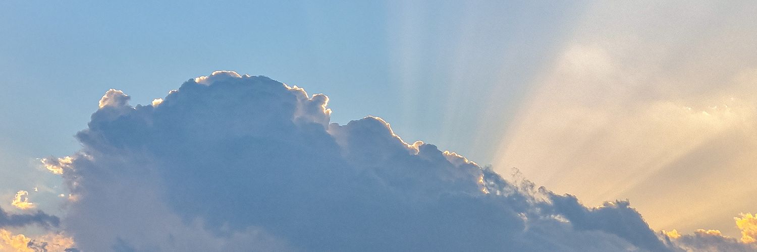 mojtabasarnaz's profile banner image