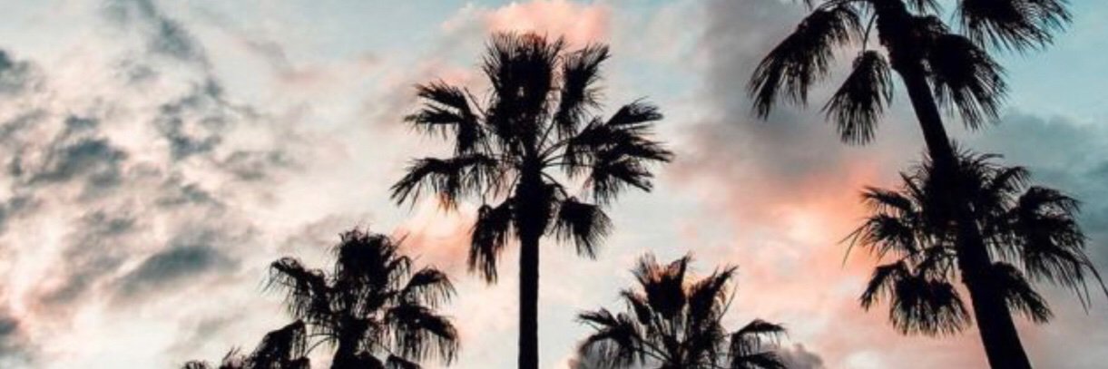 camilottijr's profile banner image