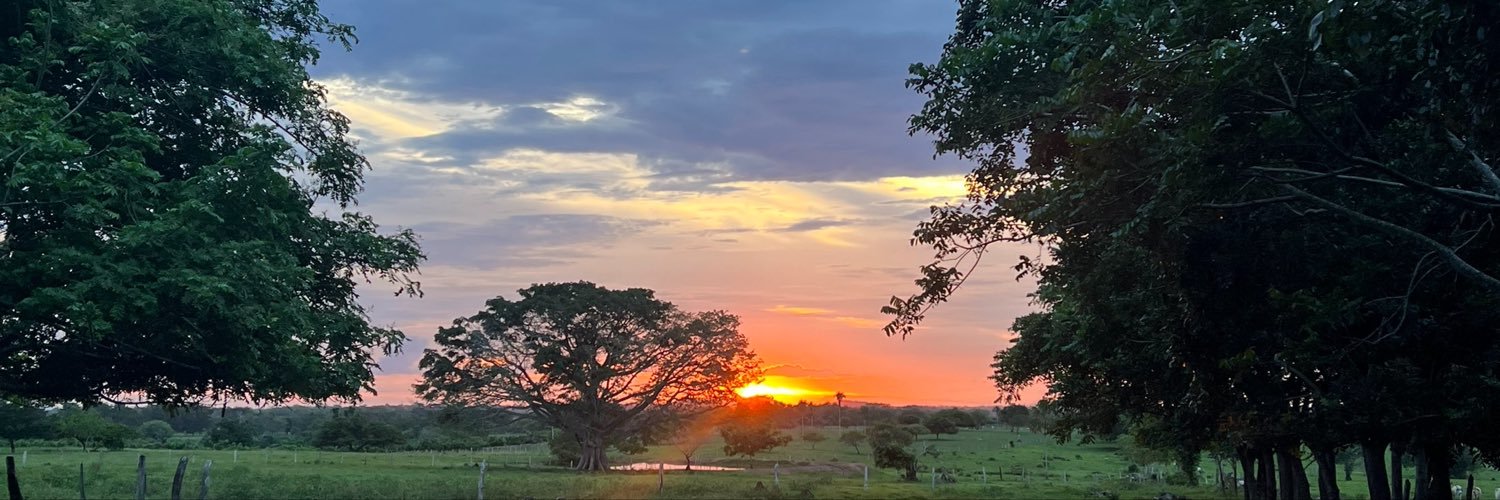 Mayybarrios's profile banner image