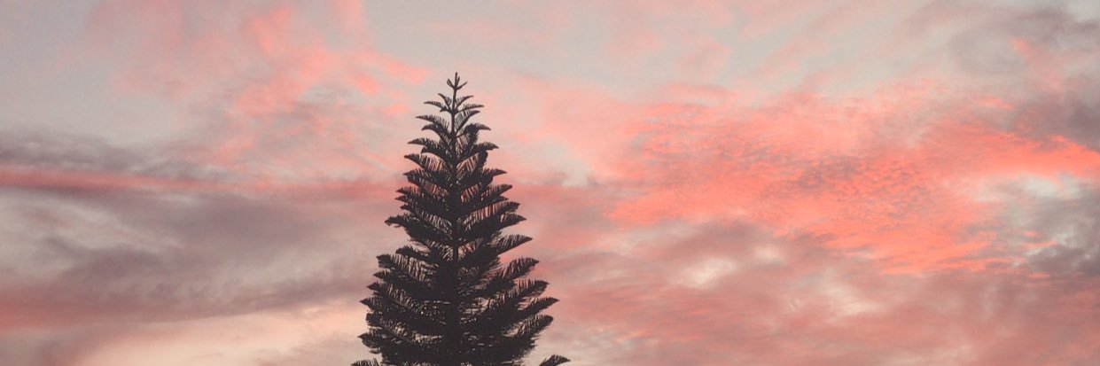 marinjp20's profile banner image