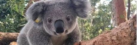 anurbjs's profile banner image