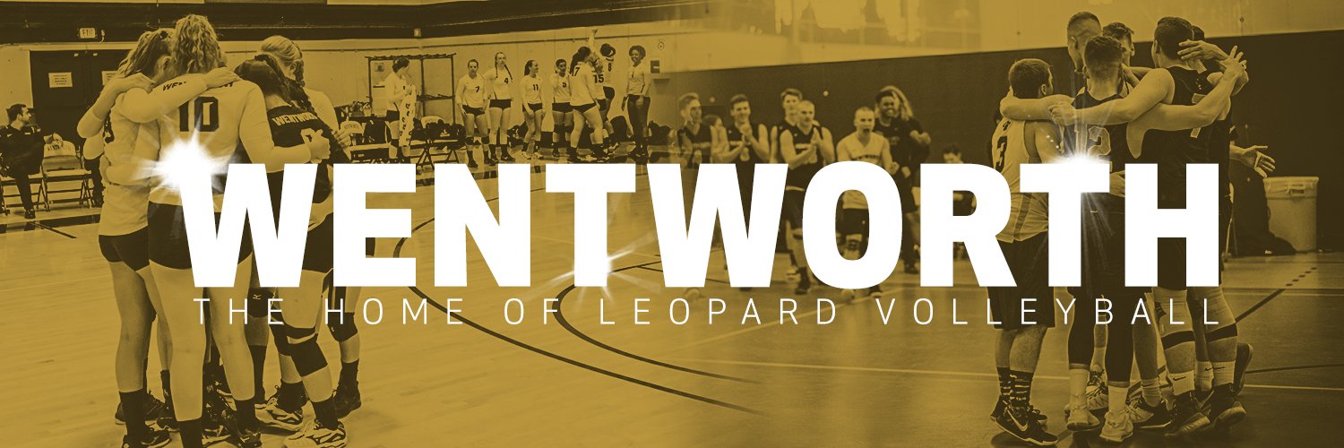 Wentworth Volleyball banner