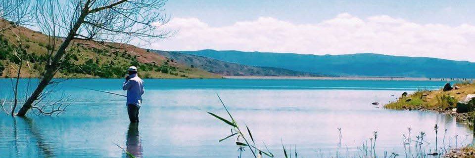 memindurgut's profile banner image