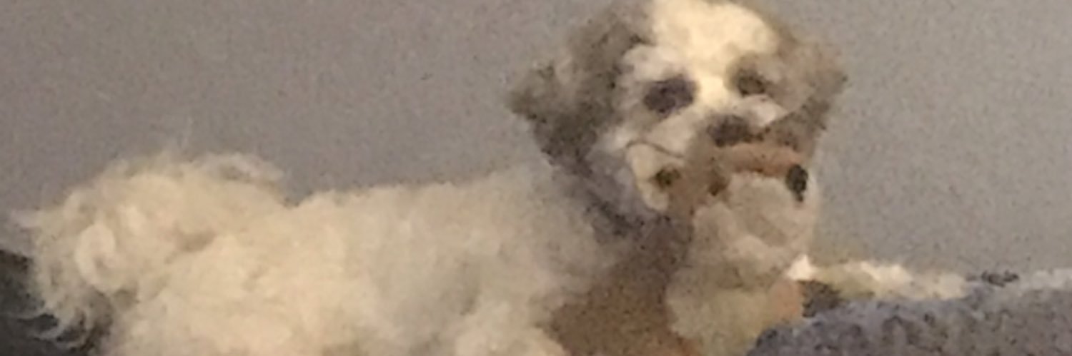 eldy81's profile banner image