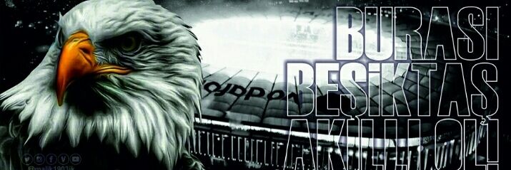 efetev's profile banner image