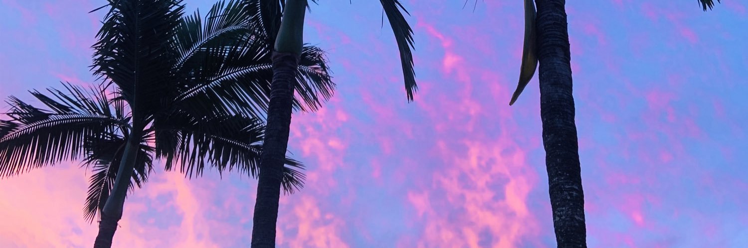 zylliss's profile banner image