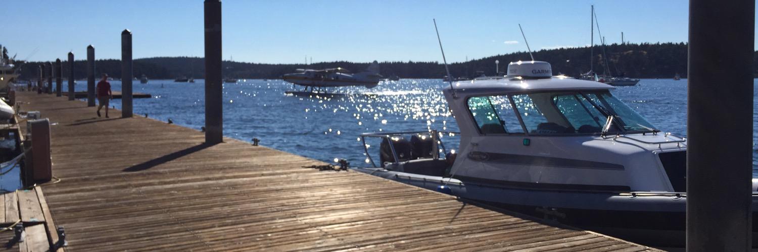 Protector Boats banner