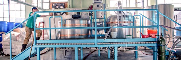 woodsbeer Profile Banner