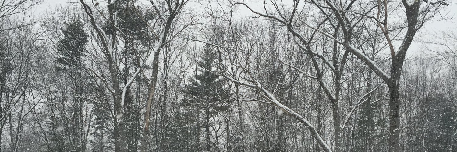 Kristen522's profile banner image