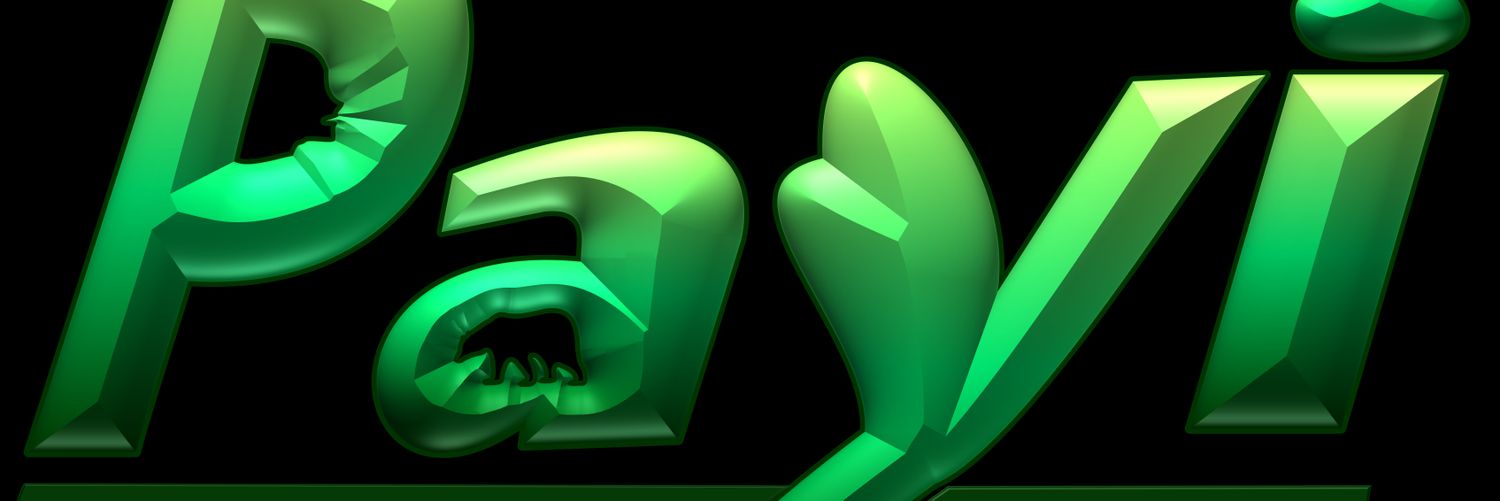 PAYITZINTLI's profile banner image